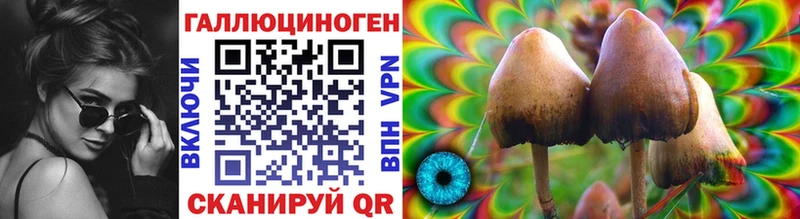 Галлюциногенные грибы Psilocybine cubensis  Таганрог 